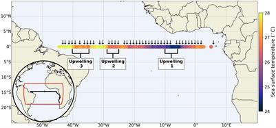 The Photophysiological Response of Nitrogen-Limited Phytoplankton to Episodic Nitrogen Supply Associated With Tropical Instability Waves in the Equatorial Atlantic